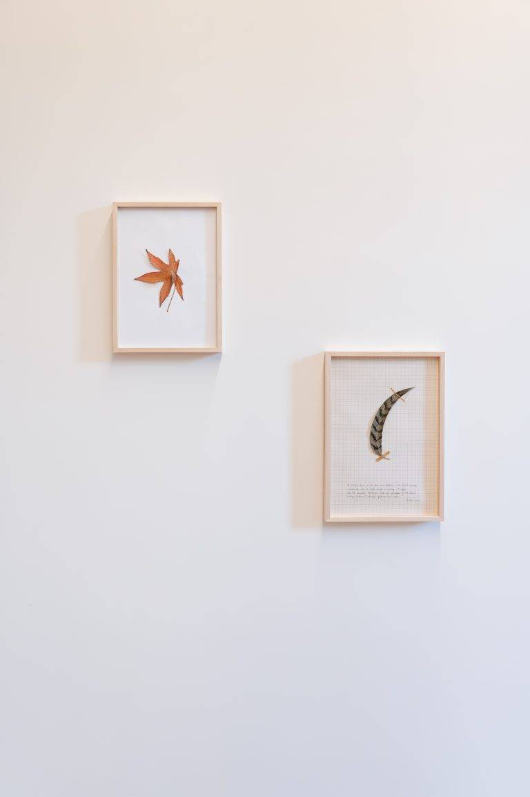 The Society of the Bees Inaugurates its New Home in Rome